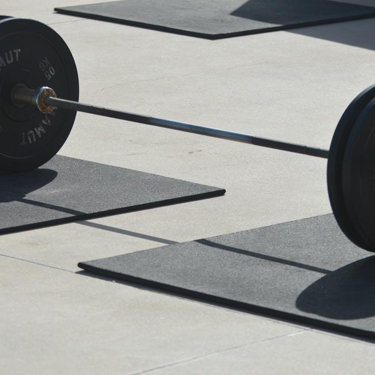 Professional gym with weight equipment